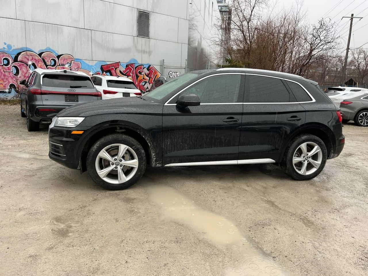 Audi Q5 Progressiv/PANO/���������������� �� AUDI | Mobile.bg � ����������� 3