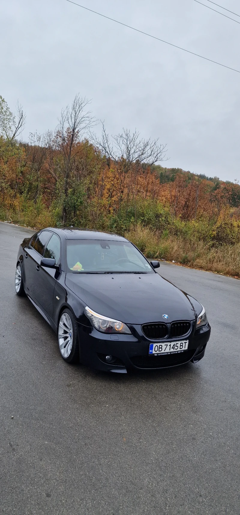 BMW 530 E60, снимка 3 - Автомобили и джипове - 47933859