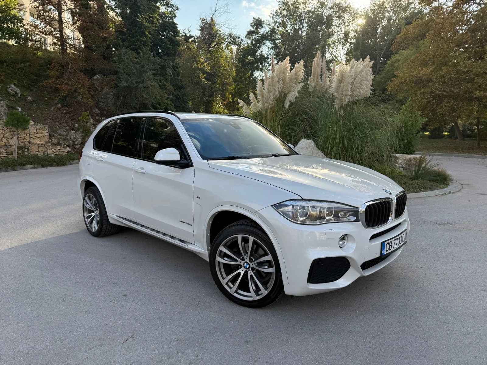 BMW X5 Закупена от българско представителство на марката, снимка 1