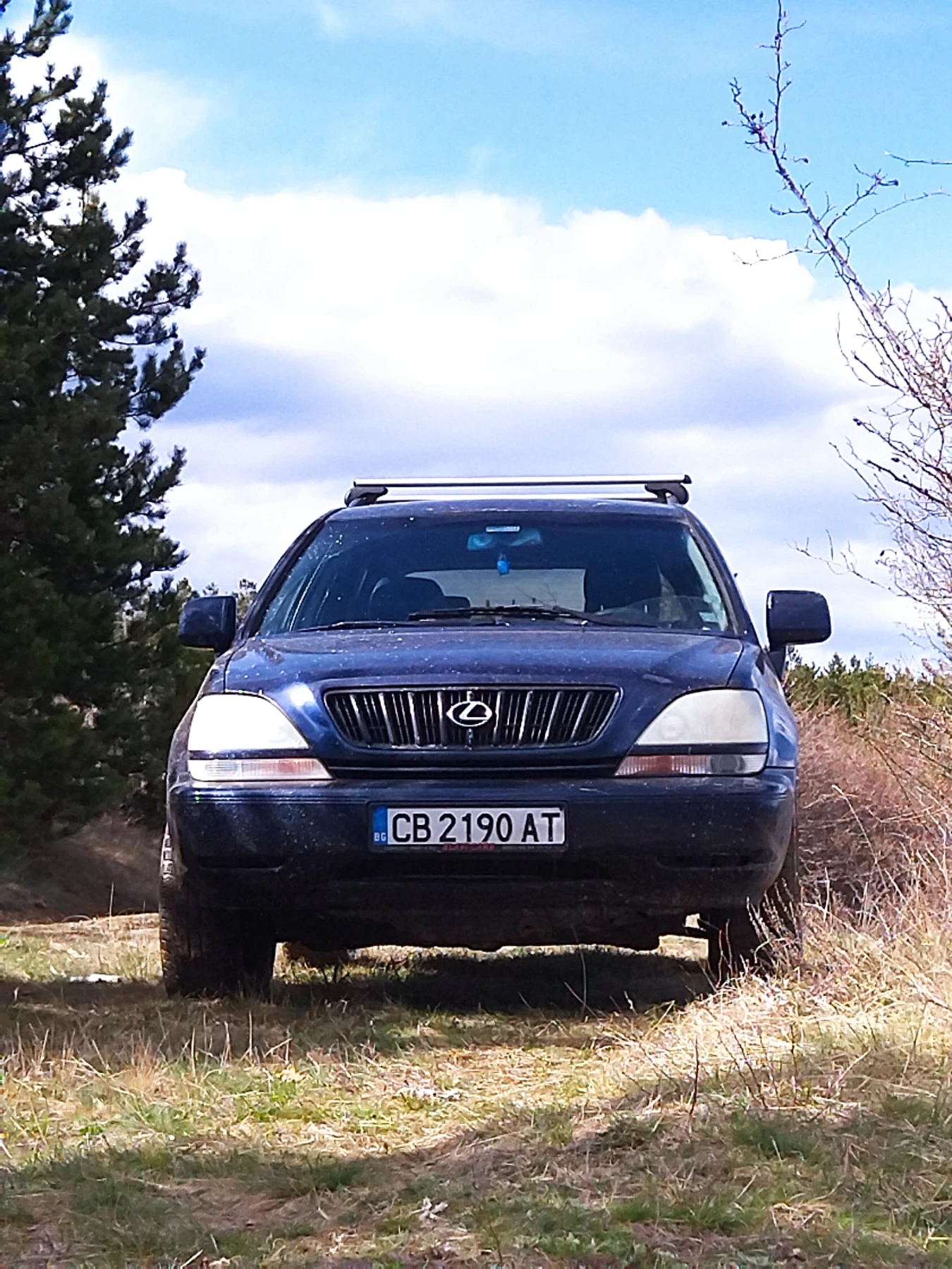 Lexus RX  - изображение 4