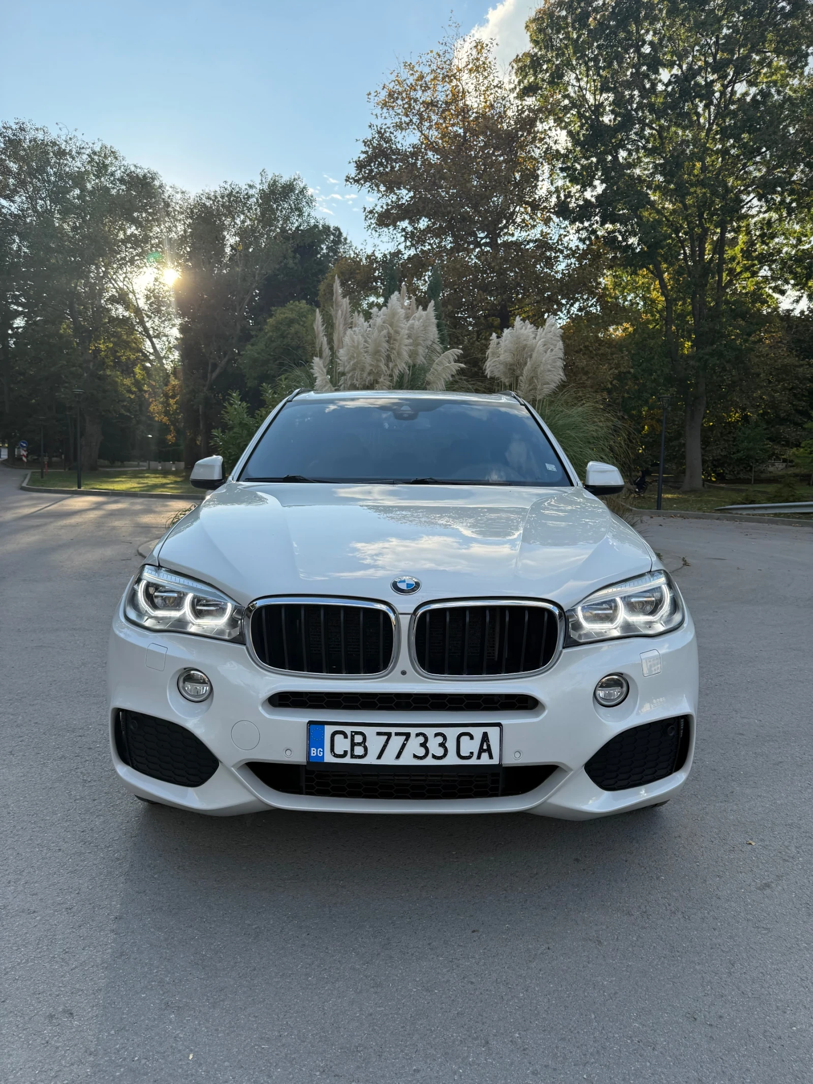 BMW X5 Закупена от българско представителство на марката - изображение 3