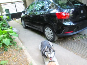 Seat Ibiza 1.4 Газ Бензин - 5150 лв. - 88057287 5