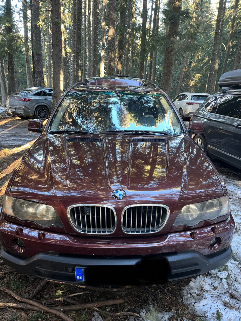 BMW X5, снимка 3 - Автомобили и джипове - 45694007