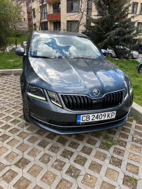 Skoda Octavia 2.0tdi 4x4 DSG, снимка 1