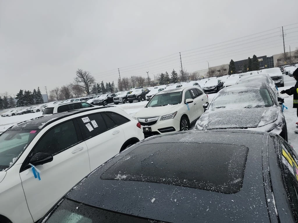 BMW 330 * XDRIVE * CARFAX * ��� ������������ ������ | Mobile.bg � ����������� 16