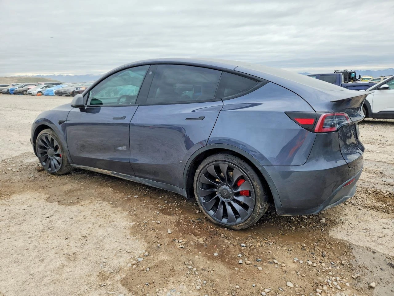 Tesla Model Y PERFORMANCE DUAL MOTOR AWD ТЕРМОПОМПА* , снимка 2 - Автомобили и джипове - 54284868