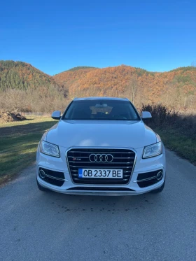     Audi SQ5 2014