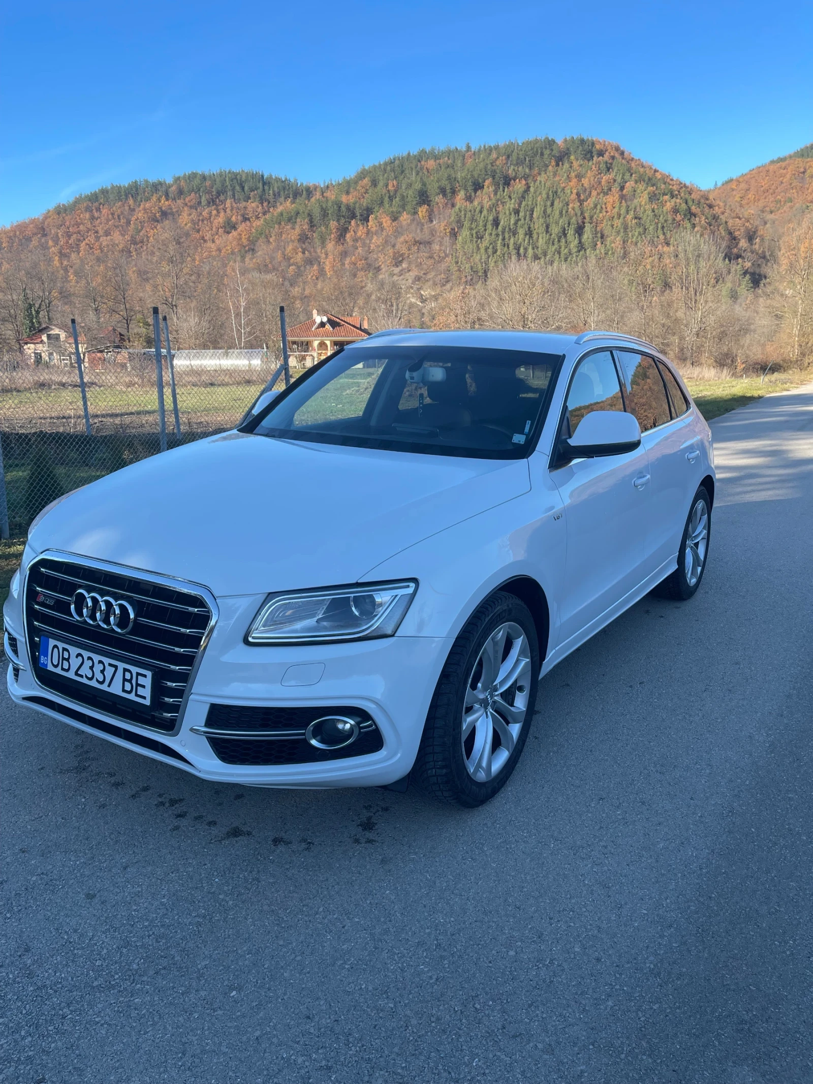 Audi SQ5 2014 - изображение 2