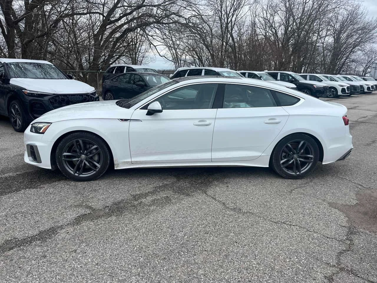 Audi A5 Technik/ ЛАЗЕРИ /DISTRONIC/360/B&O/КЛИПОВЕ , снимка 2 - Автомобили и джипове - 54167619