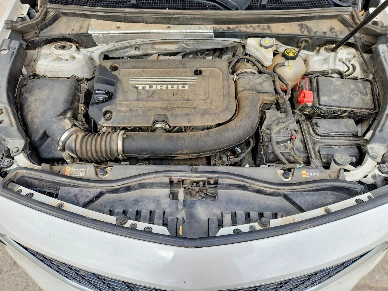 Cadillac XT4 2.0l Premium Luxury | Mobile.bg � ����������� 11
