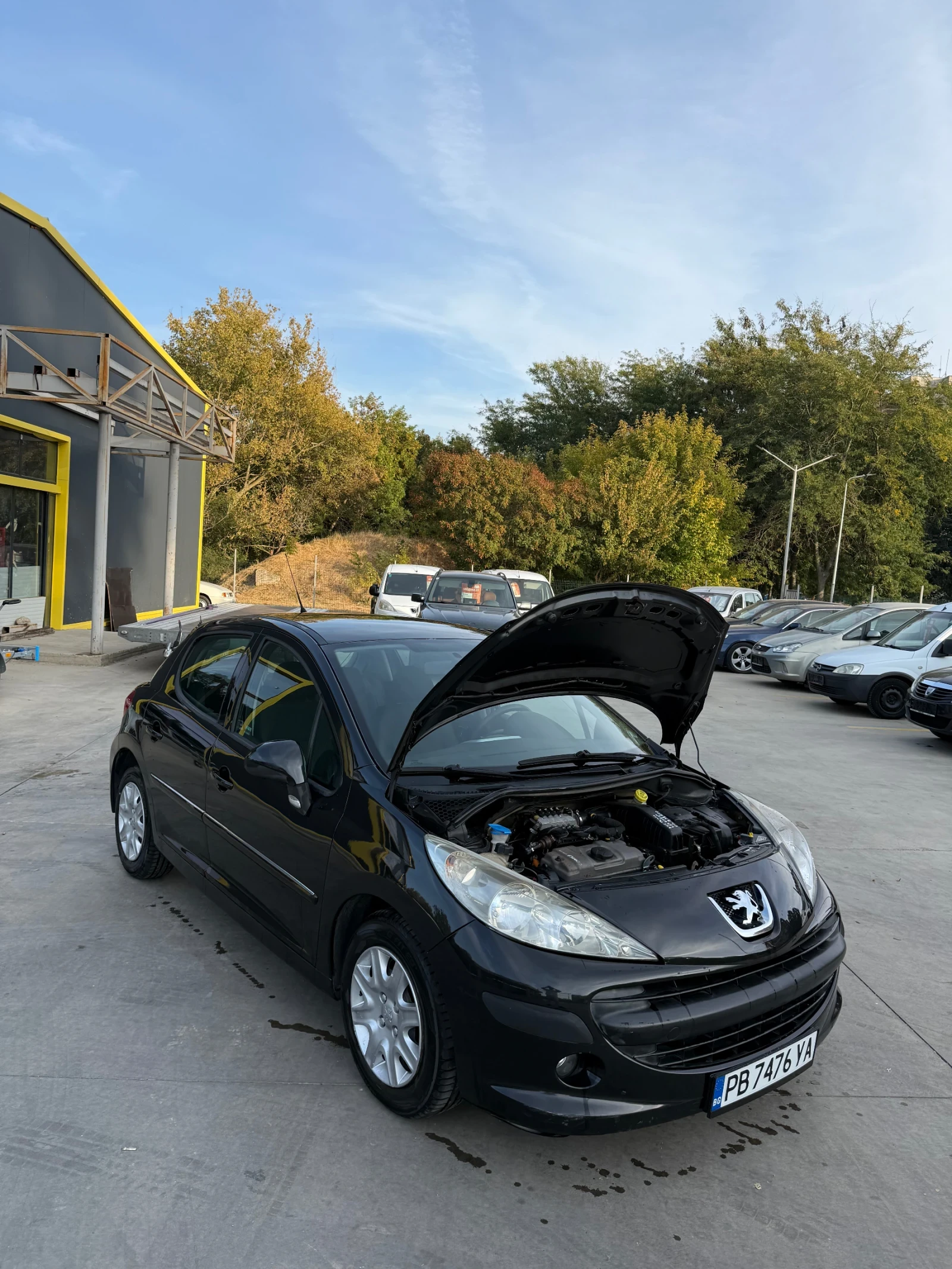 Peugeot 207, снимка 5 - Автомобили и джипове - 56362829