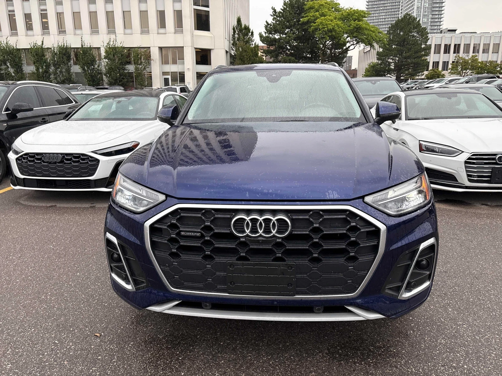 Audi Q5 * Progressiv * CARFAX * ОПЦИЯ ЗА ФИНАНСИРАНЕ , снимка 6 - Автомобили и джипове - 55988055