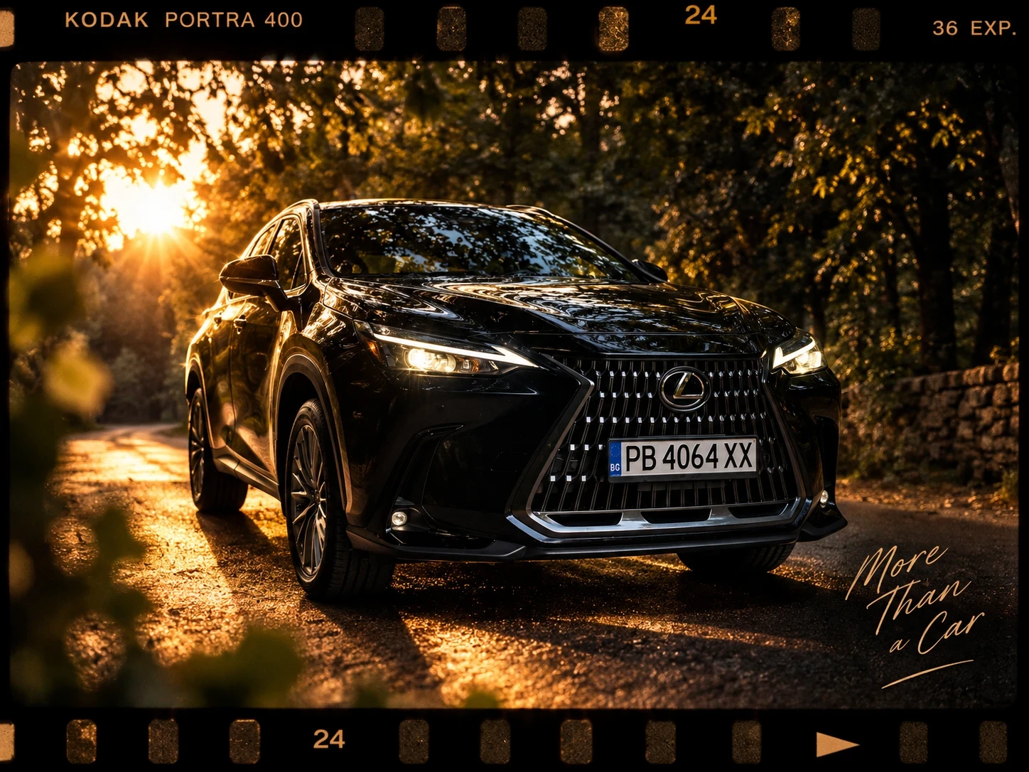 Lexus NX 350h, снимка 15 - Автомобили и джипове - 56032131
