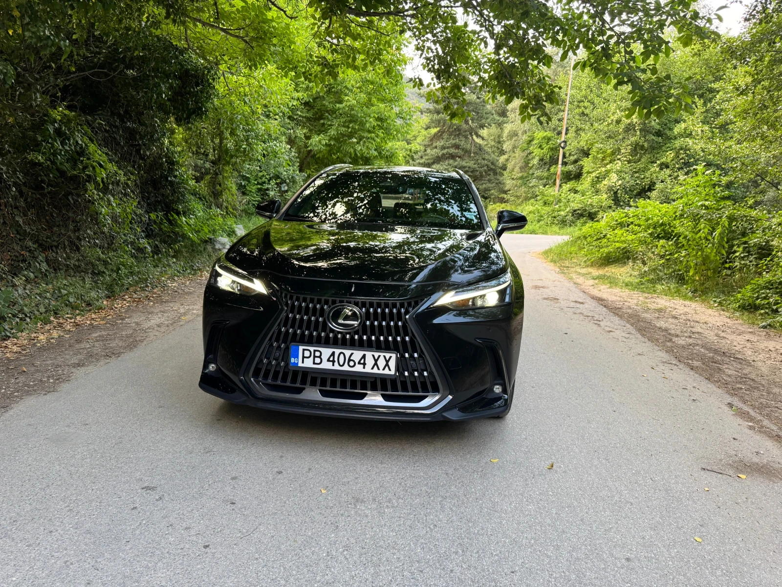 Lexus NX 350h, снимка 3 - Автомобили и джипове - 56032131