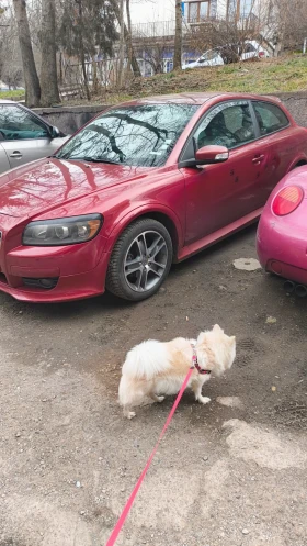 Volvo C30 2.0 бензин, снимка 5