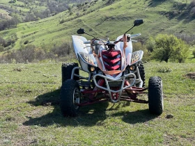 Yamaha Raptor, снимка 8
