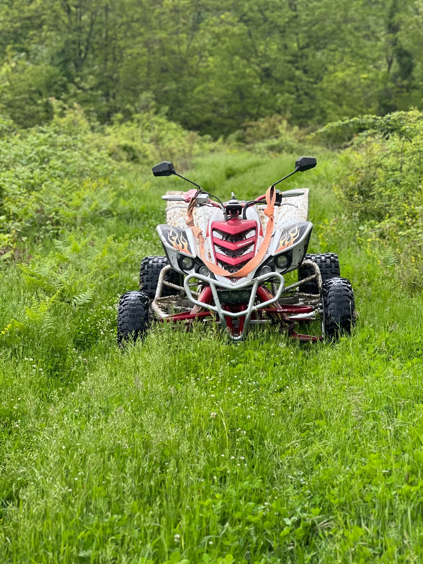 Yamaha Raptor, снимка 7 - Мотоциклети и мототехника - 55082116