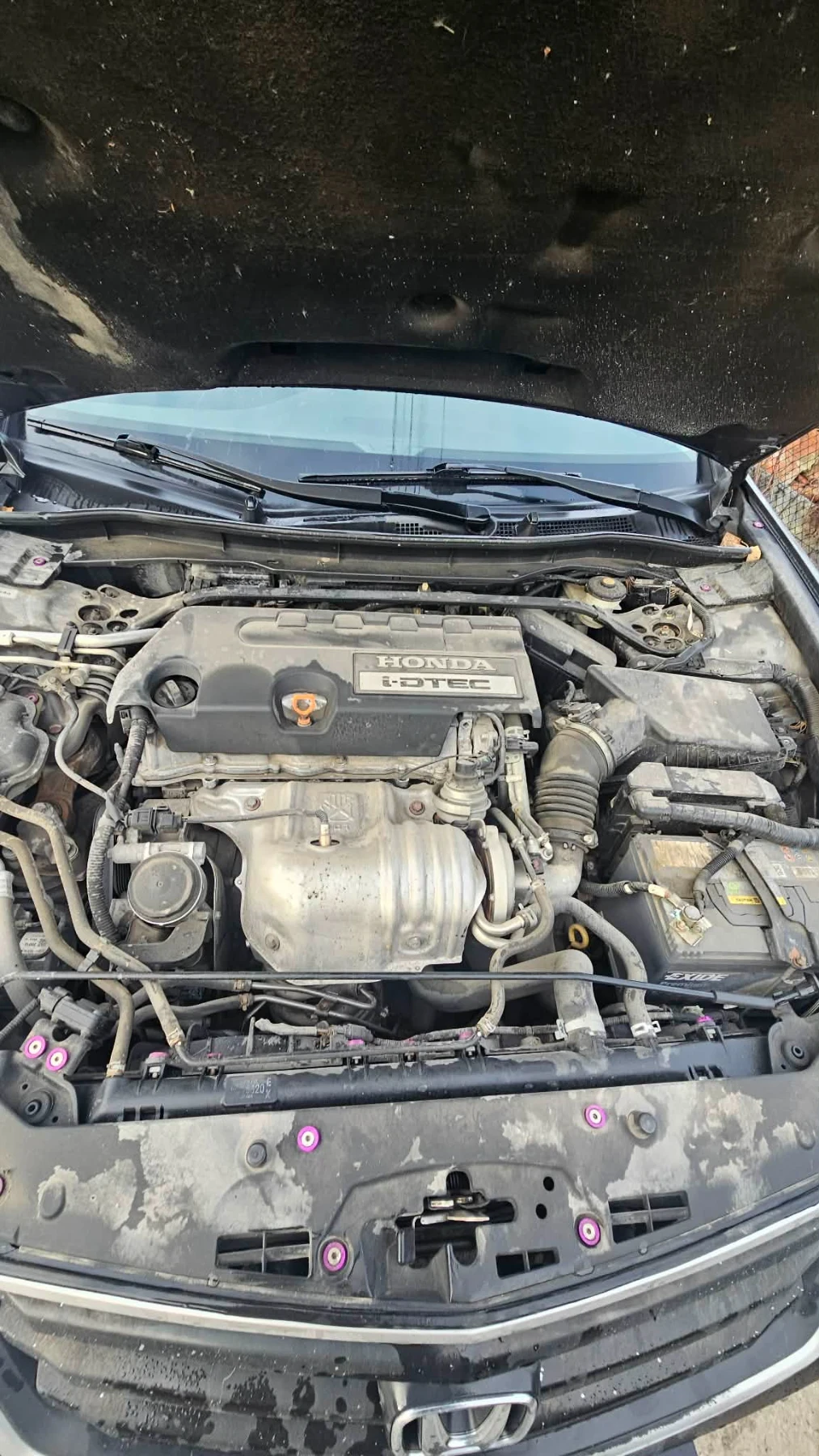 Honda Accord, снимка 3 - Автомобили и джипове - 53794594