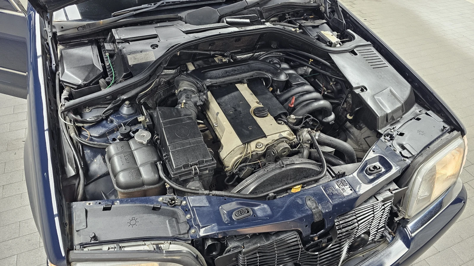 Mercedes-Benz S 320 autogeorge.com - изображение 6