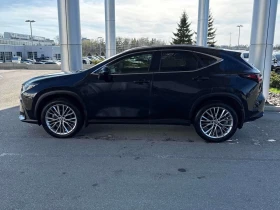 Lexus NX 350h  CARFAX, снимка 2