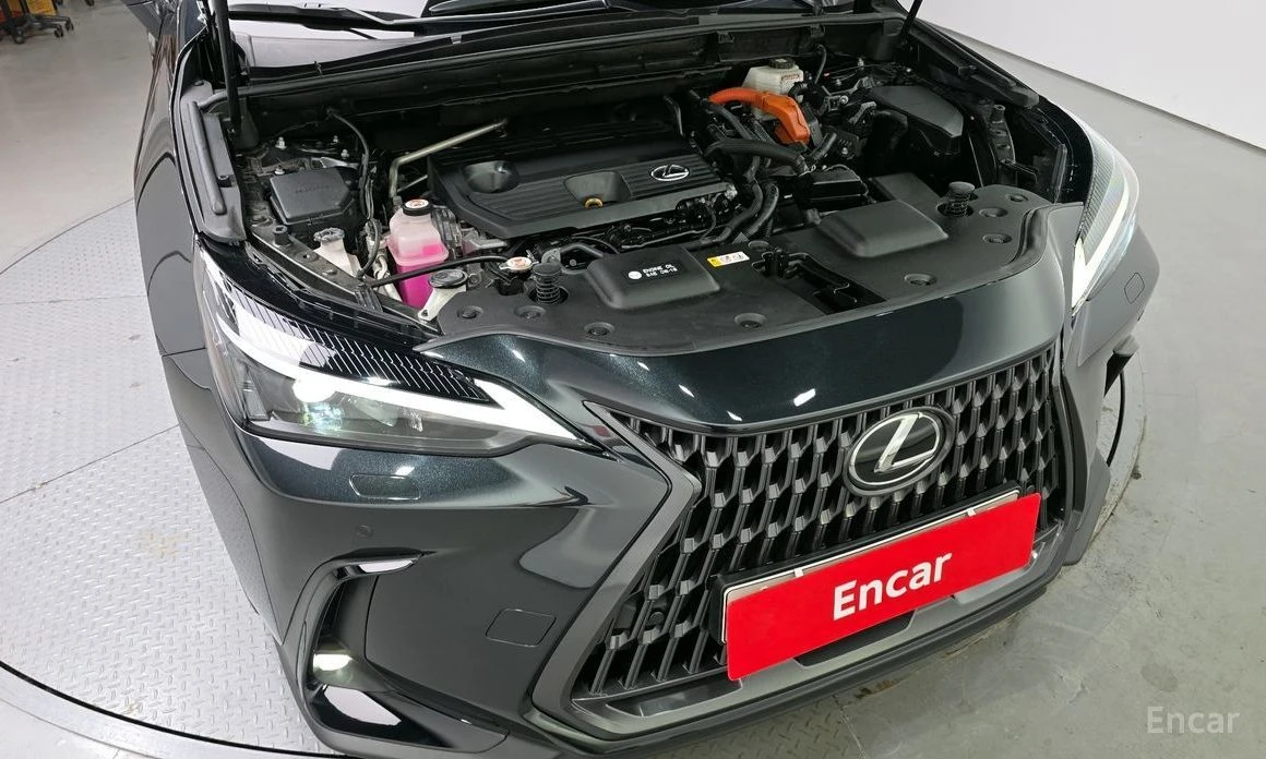 Lexus NX 300h  - изображение 6