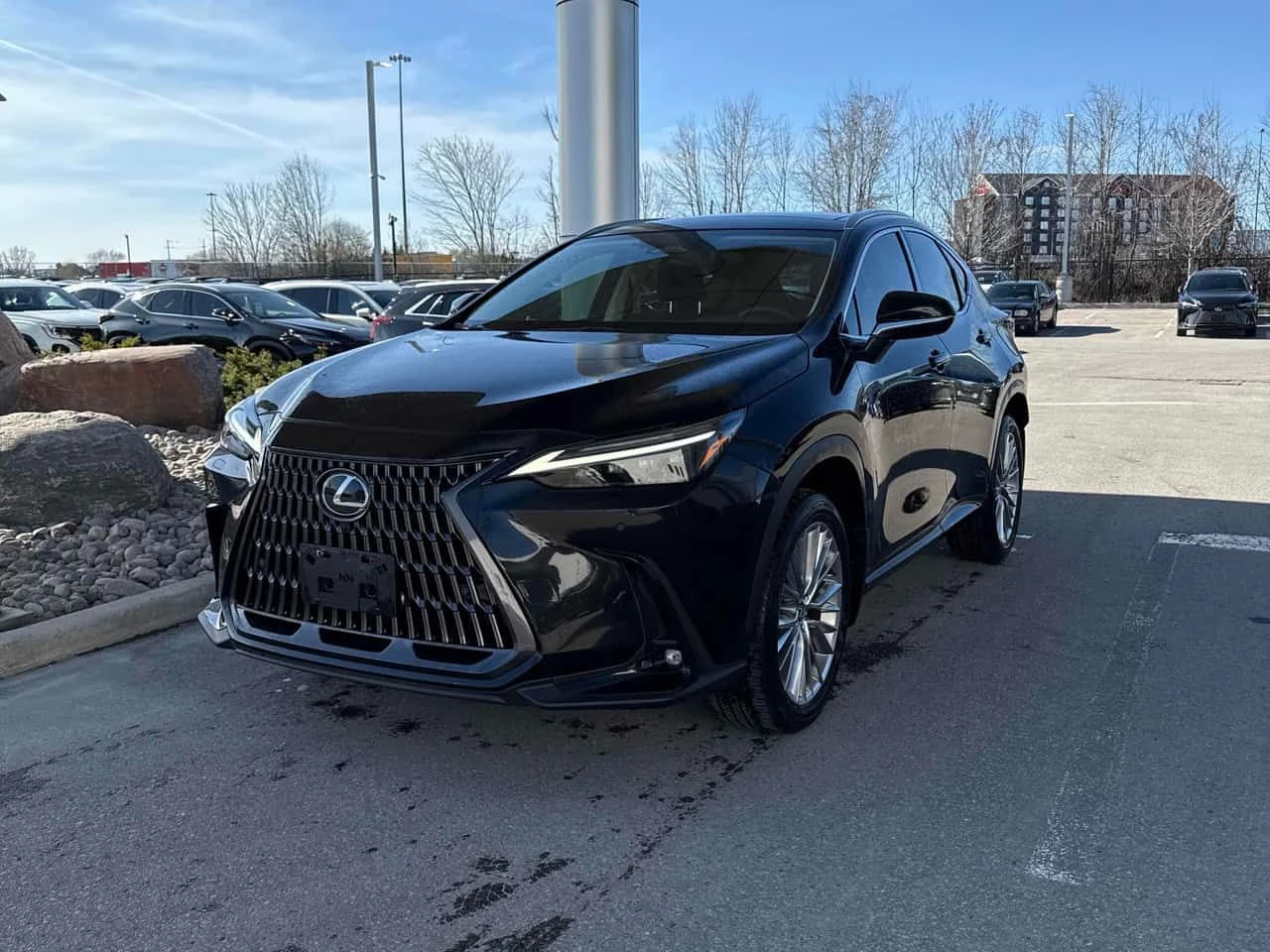 Lexus NX 350h  CARFAX, снимка 16 - Автомобили и джипове - 54341219