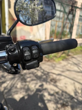 Harley-Davidson Dyna Street Bob 103  35kw A2 | Auto.bg — изображение 8