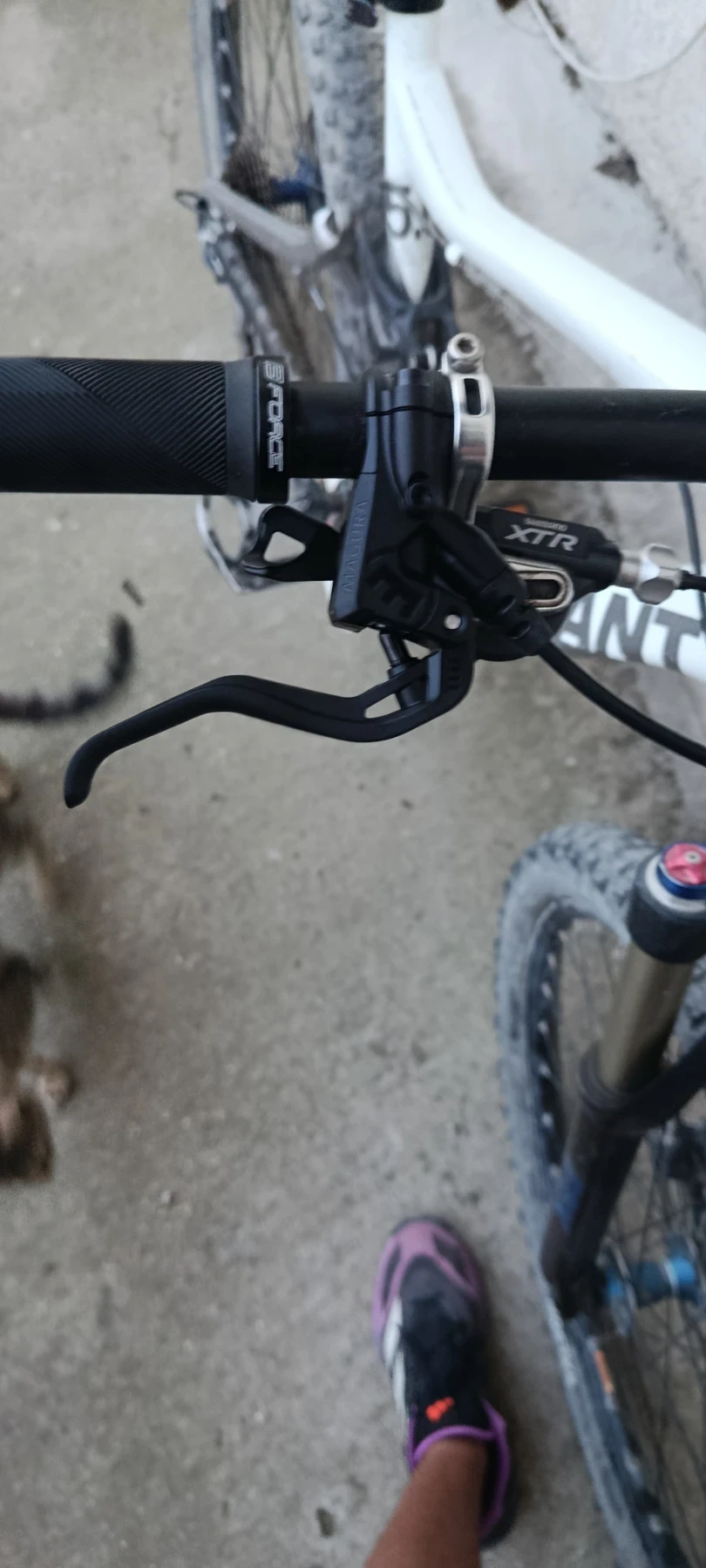 ��������� | Mobile.bg � ����������� 5
