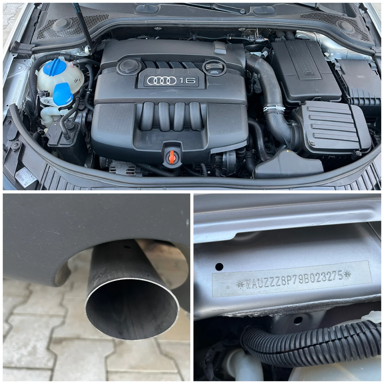 Audi A3 1.6MPi 102..    LPG Facelift | Mobile.bg   17