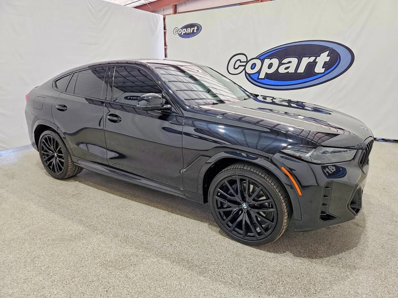 BMW X6, снимка 4 - Автомобили и джипове - 55629734
