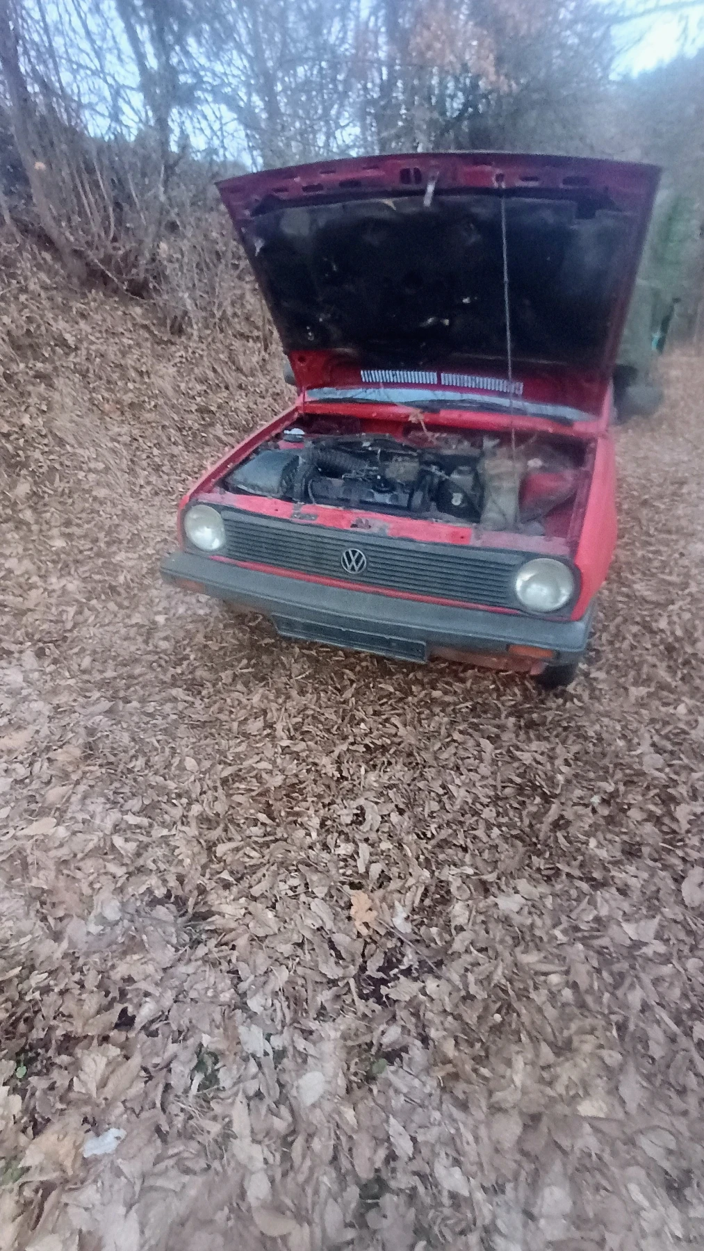 VW Polo