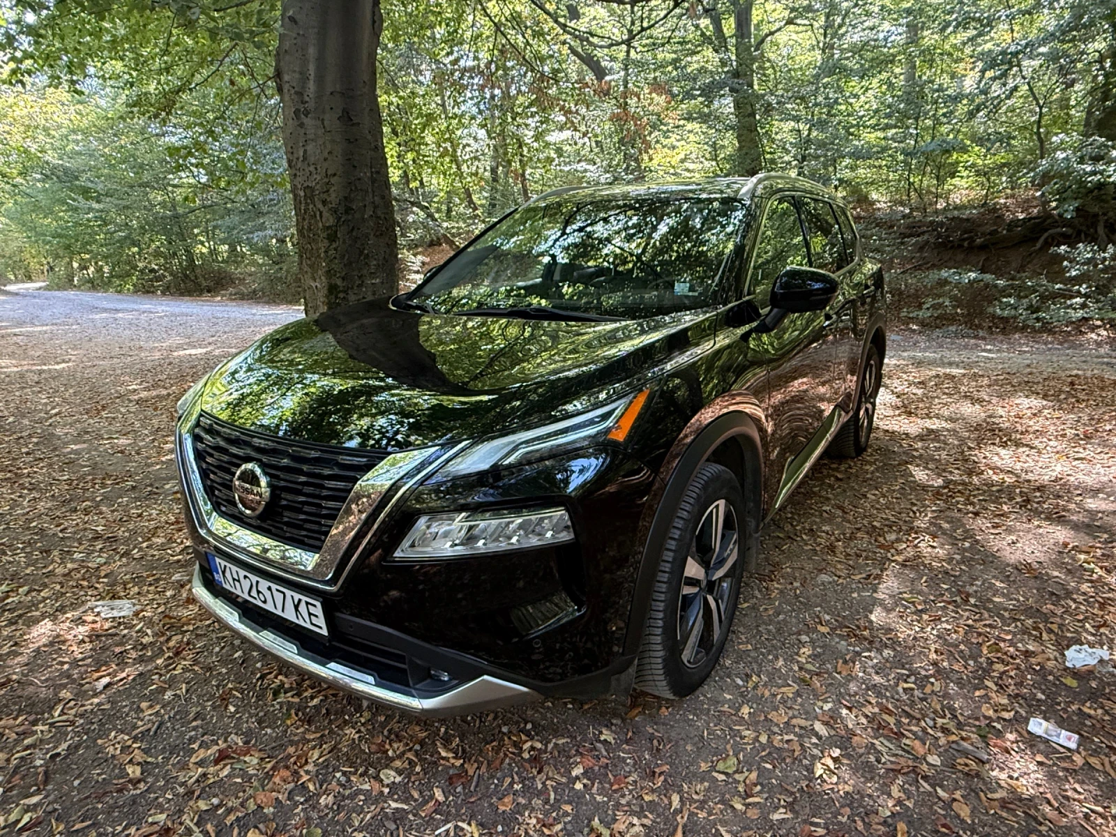 Nissan Rogue Platinum 