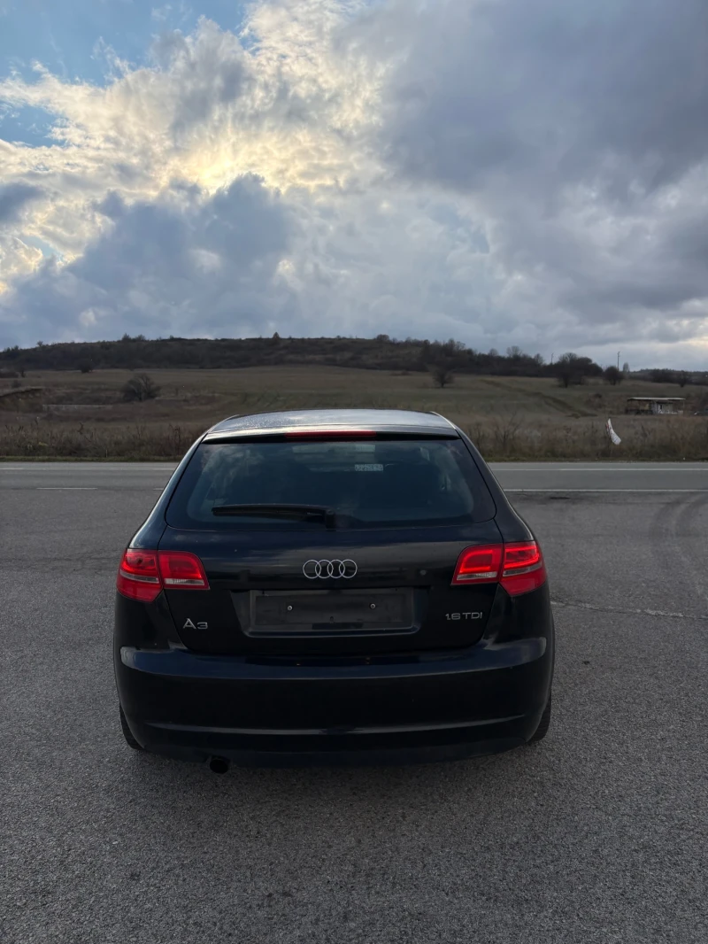 Audi A3 Face 1, 6 TDI , снимка 3 - Автомобили и джипове - 53212401