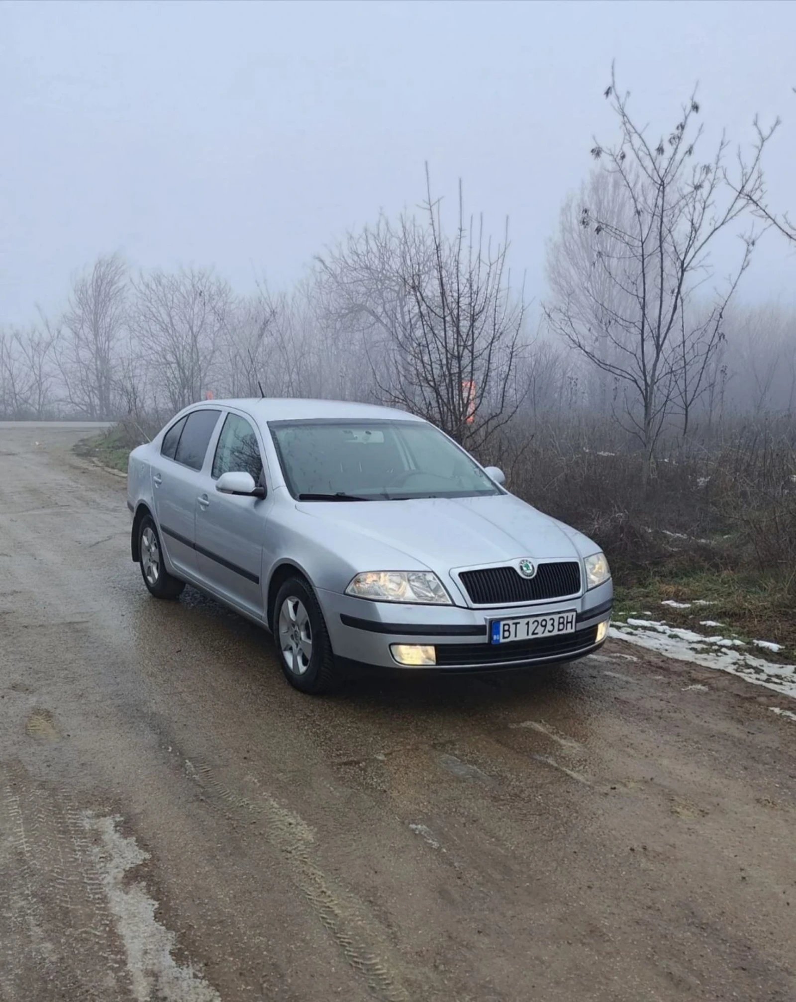 Skoda Octavia 1.6FSI BENZIN 1ви Собственик Michelin, снимка 2 - Автомобили и джипове - 53769134