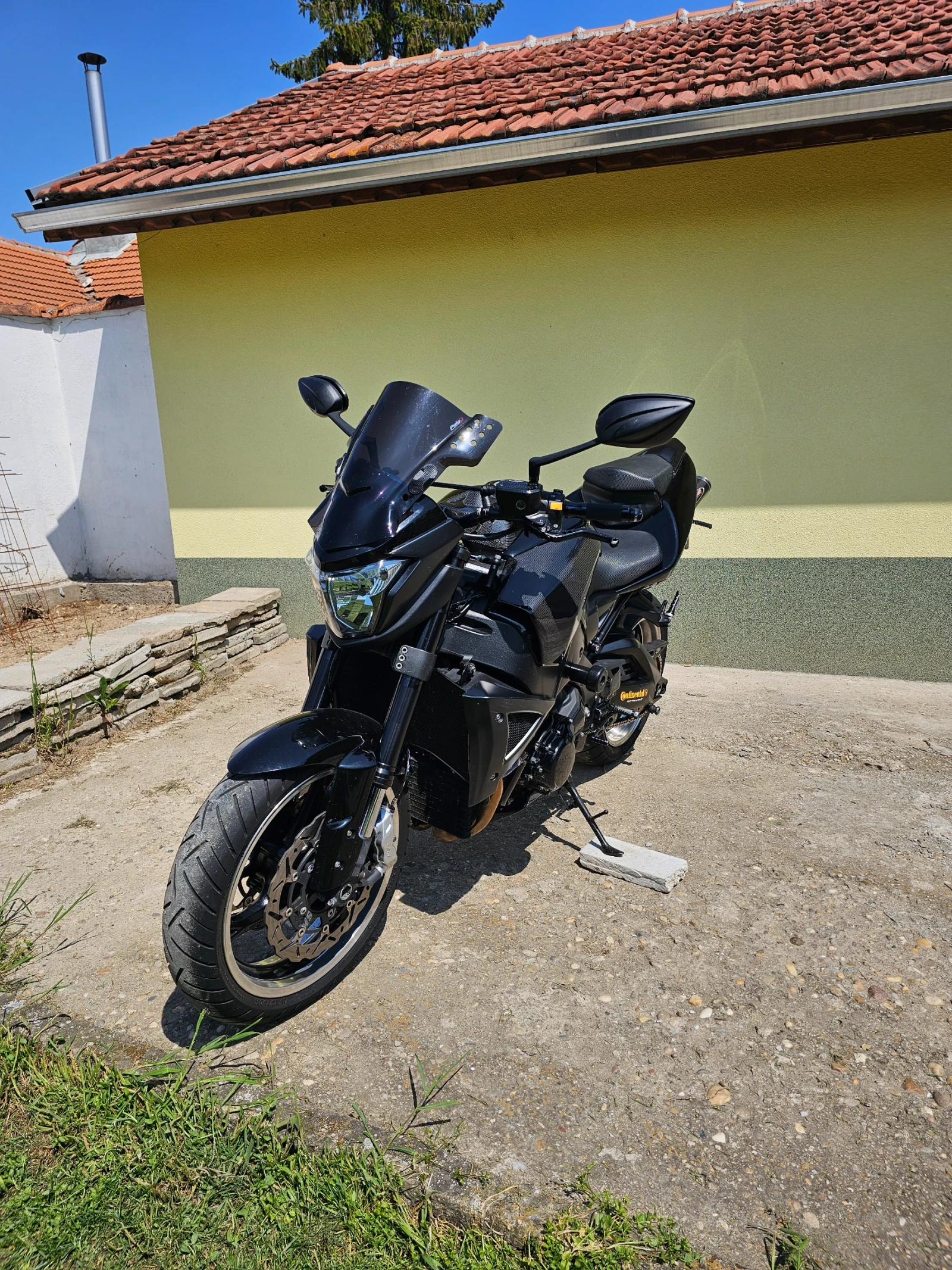 Suzuki Hayabusa B-king - изображение 2