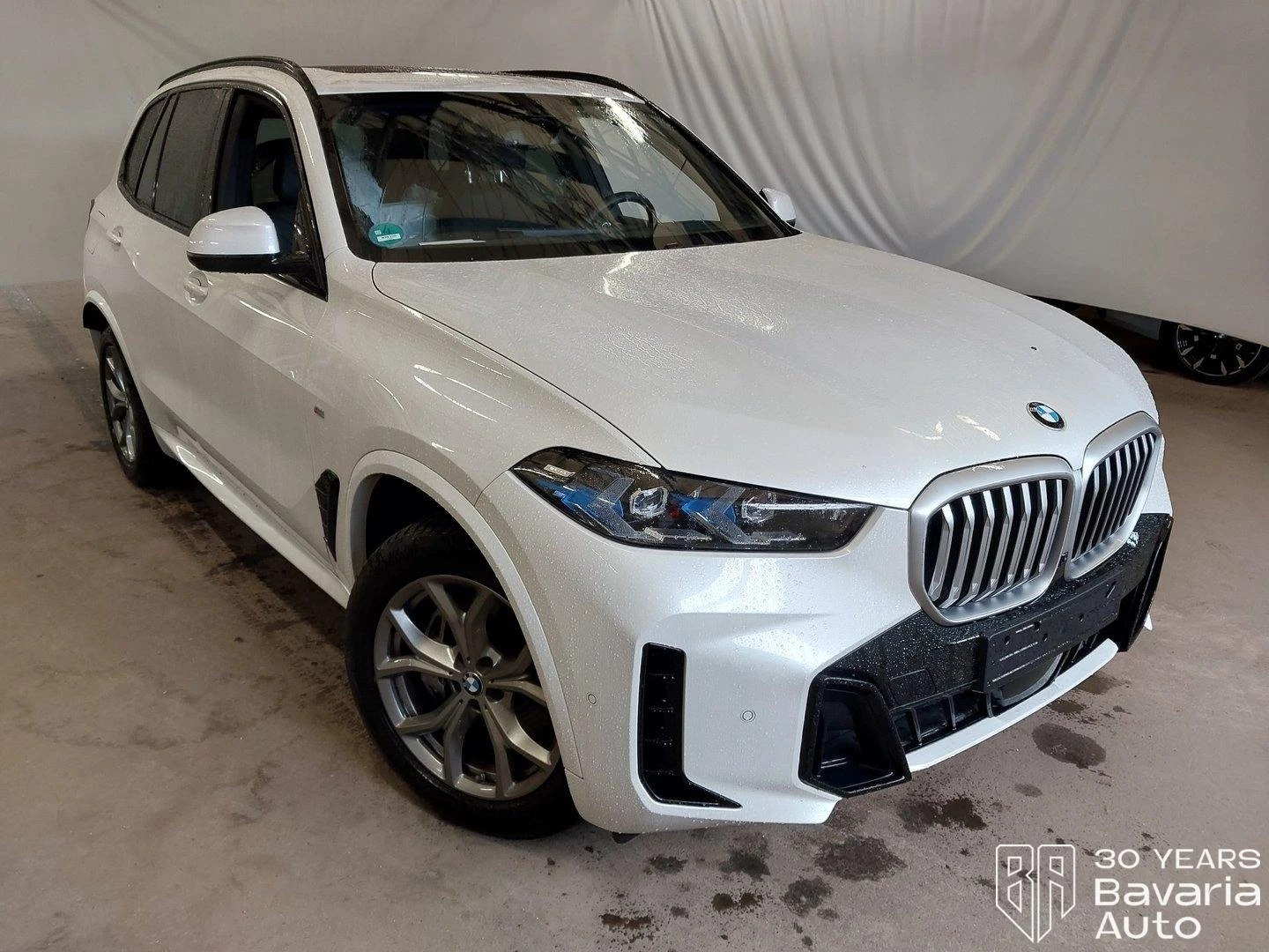 BMW X5 30d xDrive M Sport Paket Steptronic, снимка 4 - Автомобили и джипове - 56089559