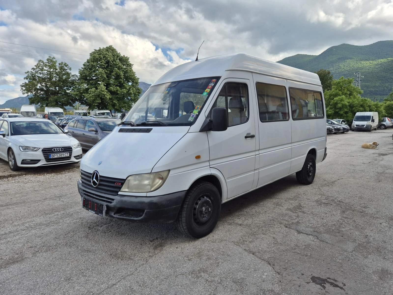 Mercedes-Benz Sprinter 313 CDI 9 МЕСТА KLIMA ITALY