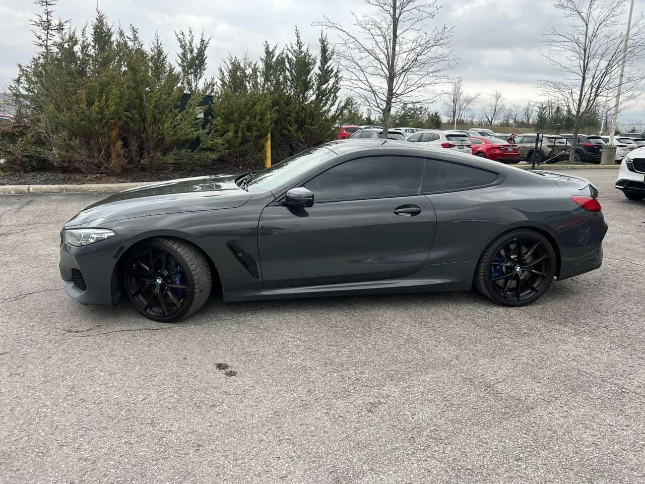 BMW 850 * M850i xDrive * CARFAX * ЦЕНА ДО БГ, снимка 2 - Автомобили и джипове - 54385026