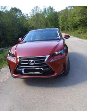 Lexus NX 300h, снимка 1