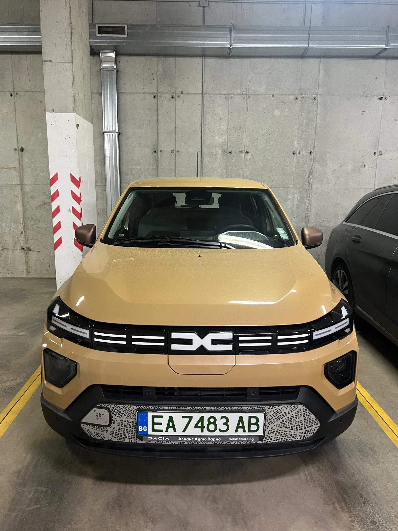 Dacia Spring Лизингов