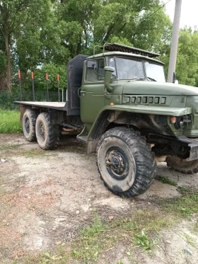 Ural Crone, снимка 1