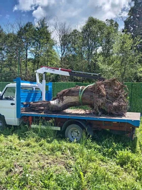 Iveco 35-8 | Mobile.bg � ����� ������ 12