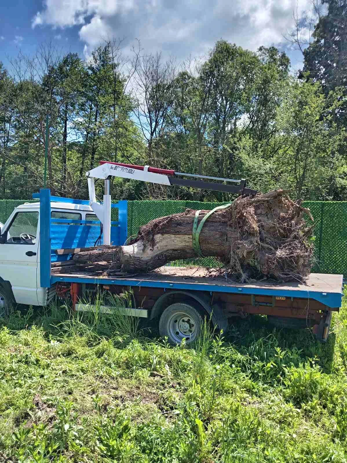 Iveco 35-8, снимка 12 - Бусове и автобуси - 55146923