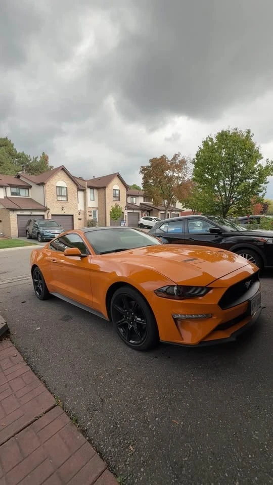 Ford Mustang 2.3 ECOBOOST* * CARFAX* * VIDEO* * АВТО КРЕДИТ* * 