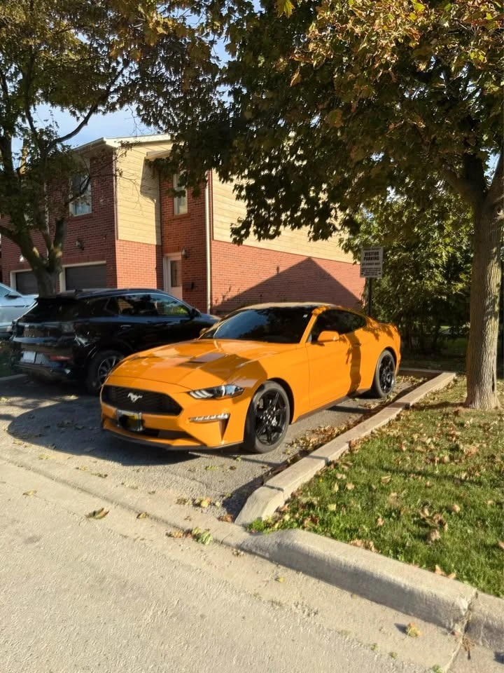 Ford Mustang 2.3 ECOBOOST* * CARFAX* * VIDEO* * АВТО КРЕДИТ* * , снимка 3 - Автомобили и джипове - 53168505