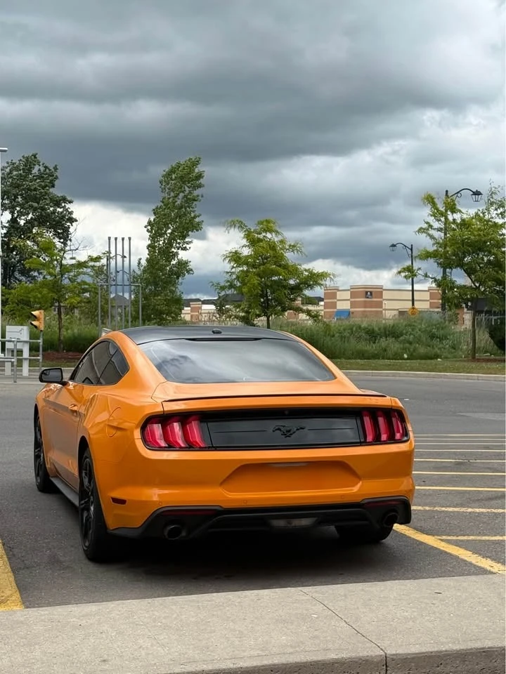 Ford Mustang 2.3 ECOBOOST* * CARFAX* * VIDEO* * АВТО КРЕДИТ* * , снимка 5 - Автомобили и джипове - 53168505