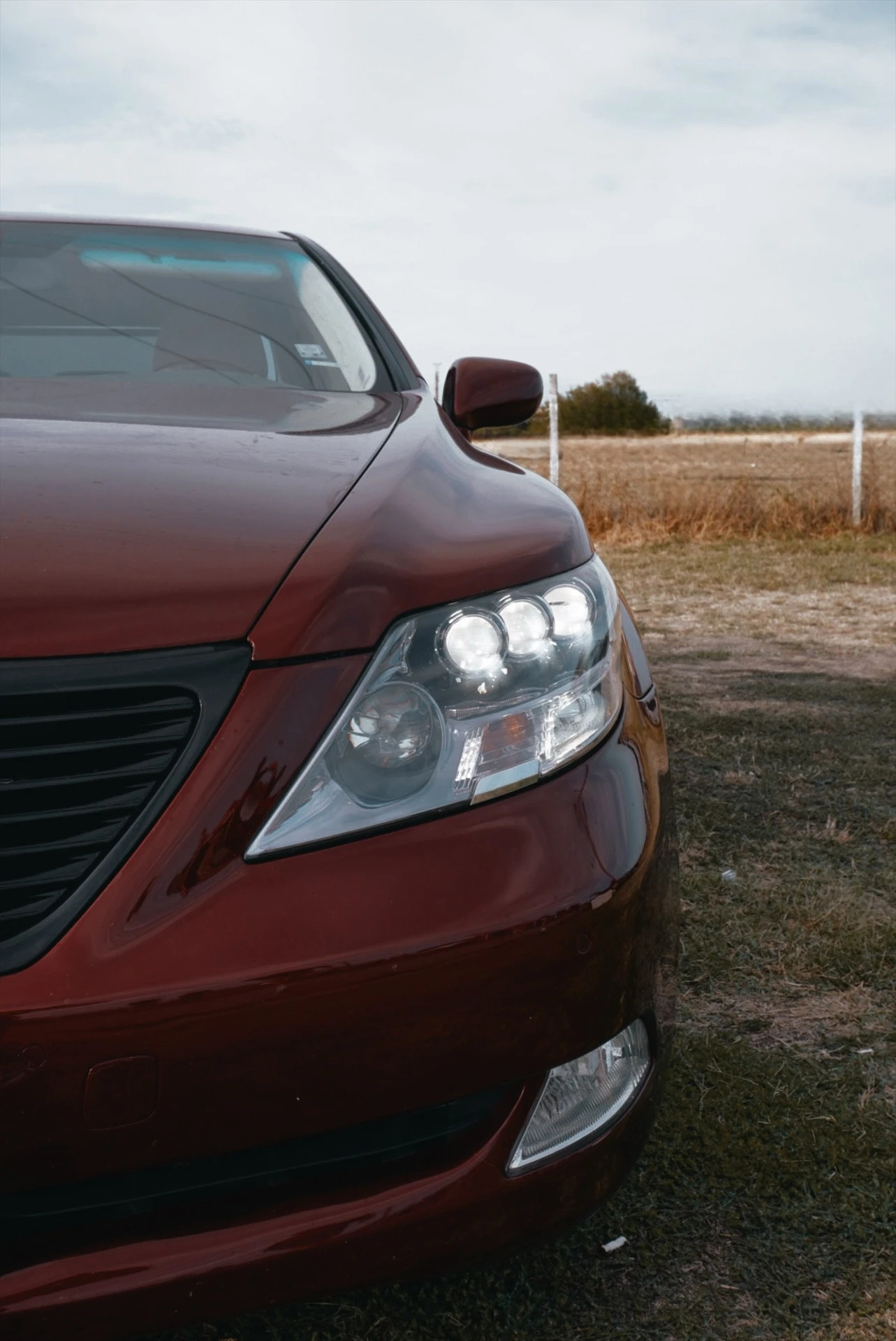 Lexus LS 600 hL - изображение 7