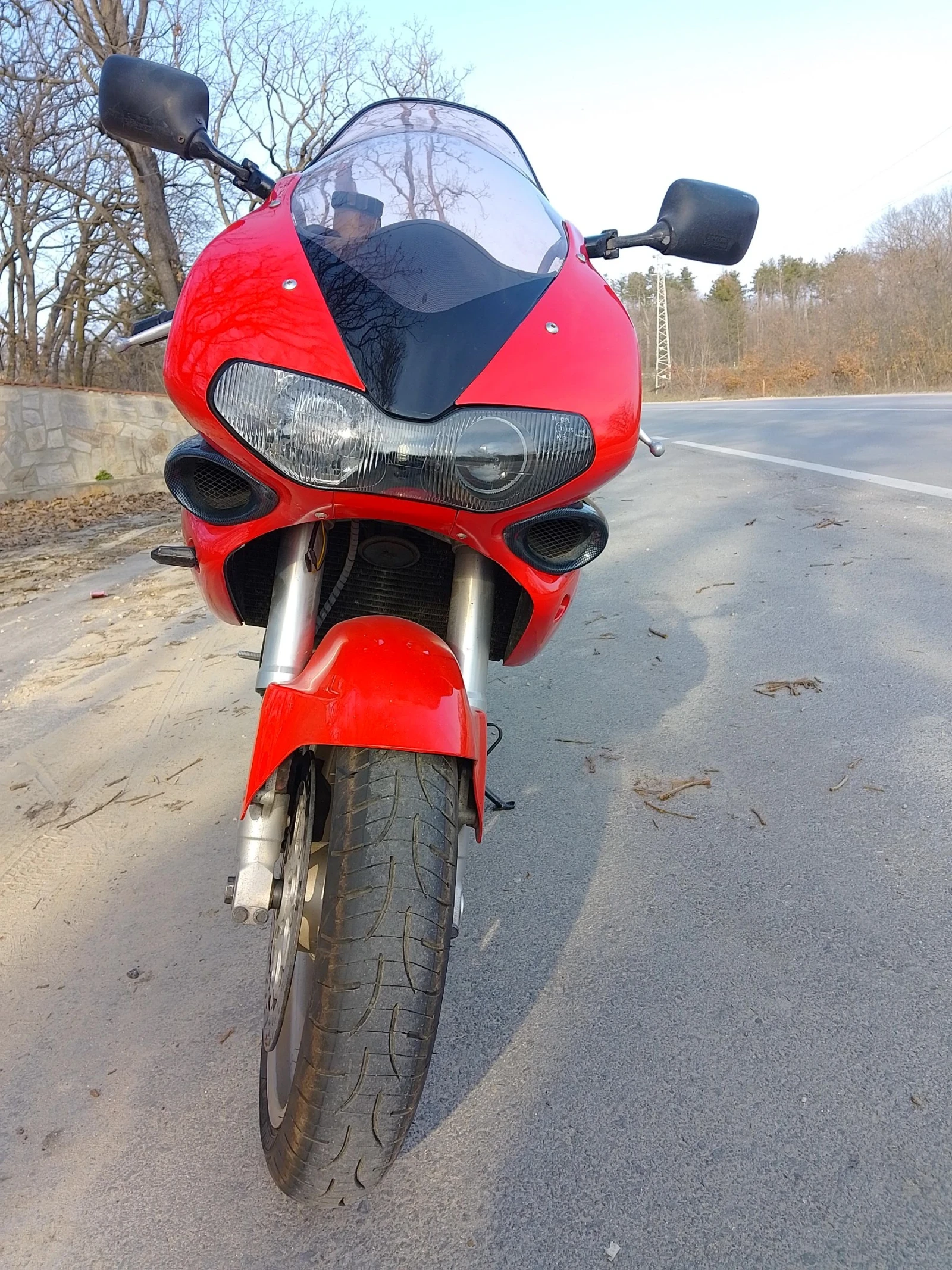 Suzuki TL TLS 1000 - изображение 2