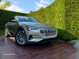     Audi E-Tron Quatro/INDIVIDUAL/Kamera/Led