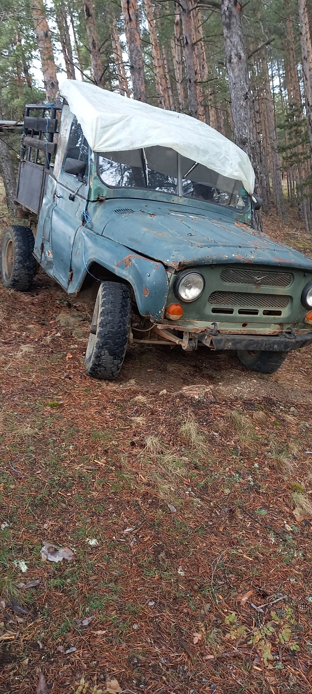Uaz 3303, снимка 1